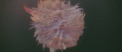 Screenshot of "ABOMINATION" by MFX